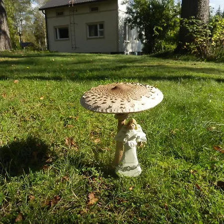 Feriehus Fuer 5 Personen Ca 120 Qm In Leppaevirta, Iso-kalla-seen